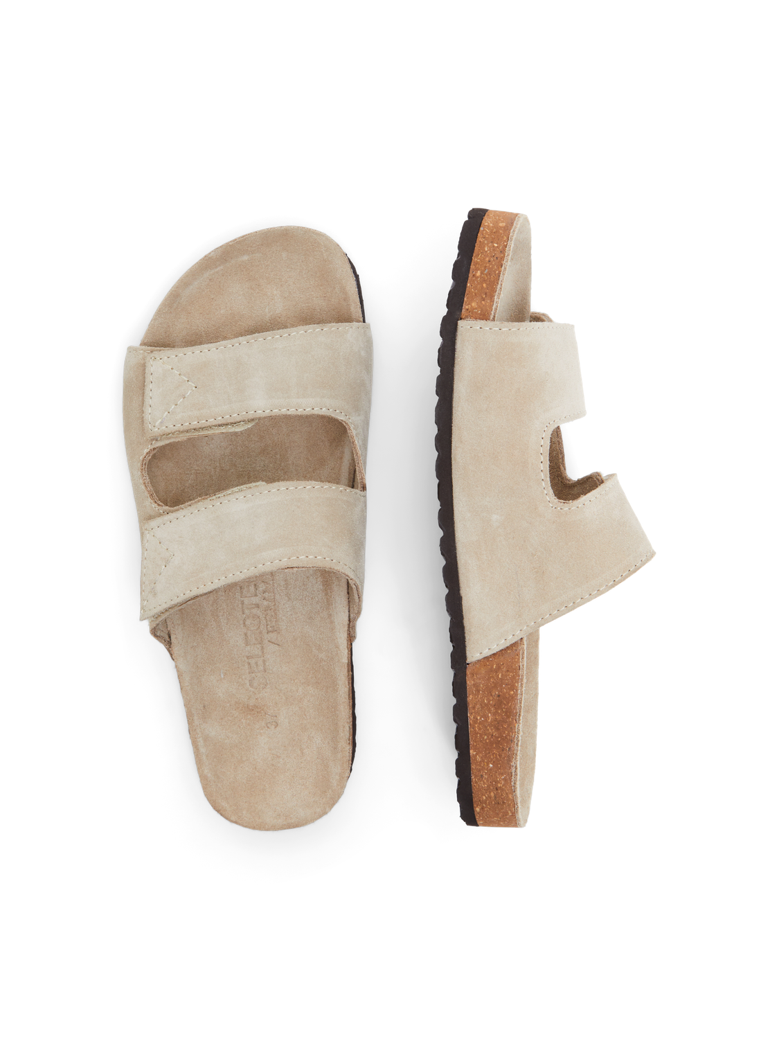 model_shot-front_full